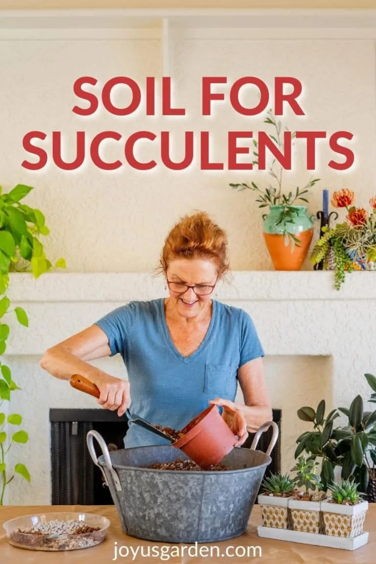 nell foster scoops potting soil out of a tine bin the text reads soil for succulents