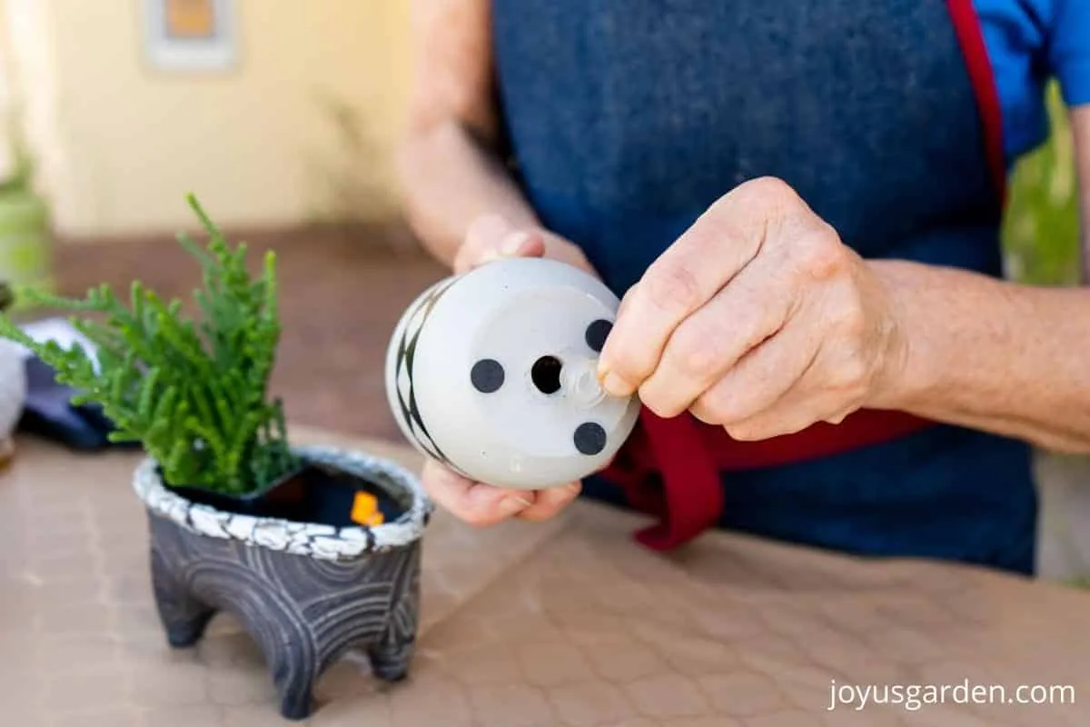 2 hands are taking a plastic drain hole plug out of a pot a small succulent in a small pot sits nearby