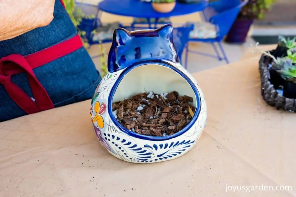 the back of an asymmetrical ceramic talavera cat planter filled partially with succulent mix