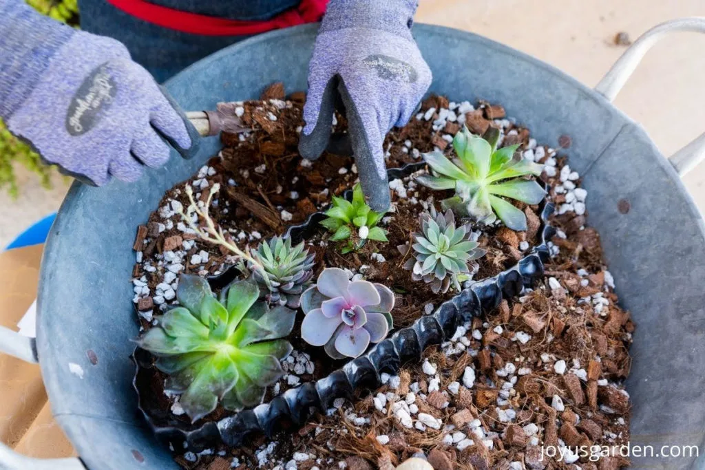 2 hands are filling in succulent mix around small succulents planted in a low handmade ceramic dish