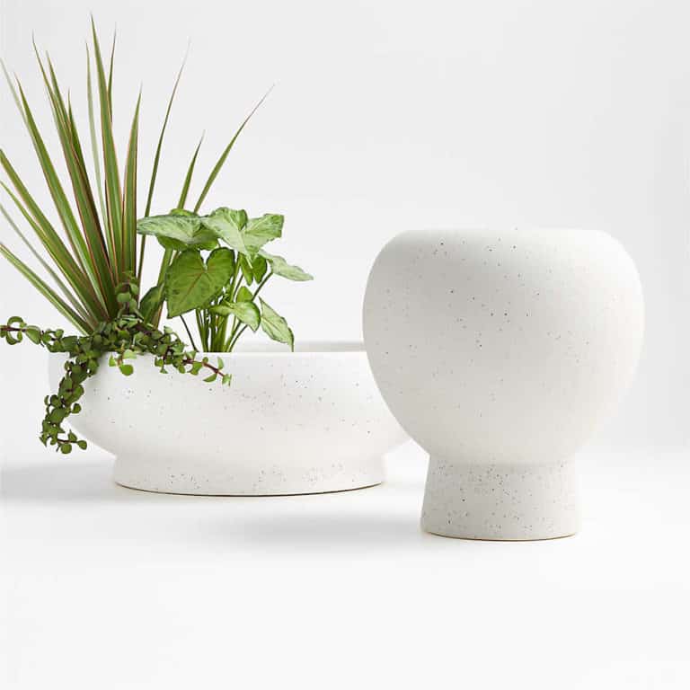 Tabletop Planters For Houseplants | Joy Us Garden