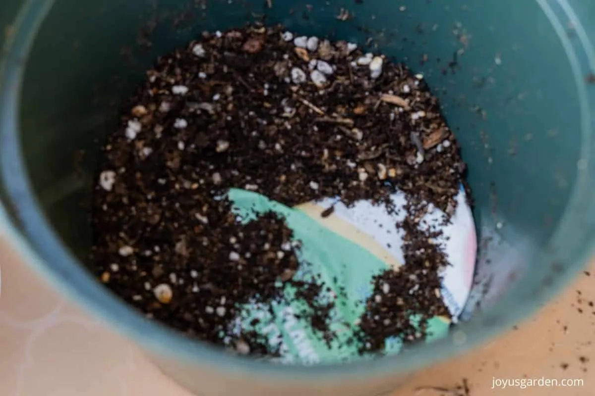 looking into a grow pot with newspaper covering the drainage holes