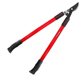 Black and red bypass lopper from amazon.