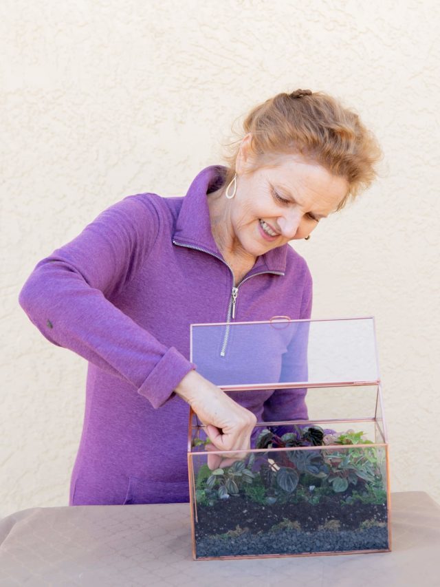 Making A Terrarium: 4 DIY Terrarium Ideas