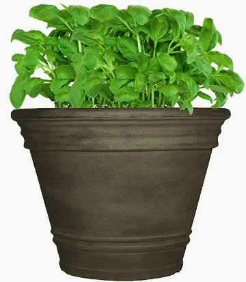 Brown pot and plant growing inside for sale at amazon.