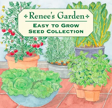 Cover of seed packet with variety of easy to grow vegetable seeds.