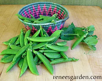 Snap peas and a weaved bowl.