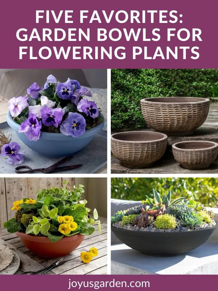 Five Favorites: Garden Bowls for Flowering Plants