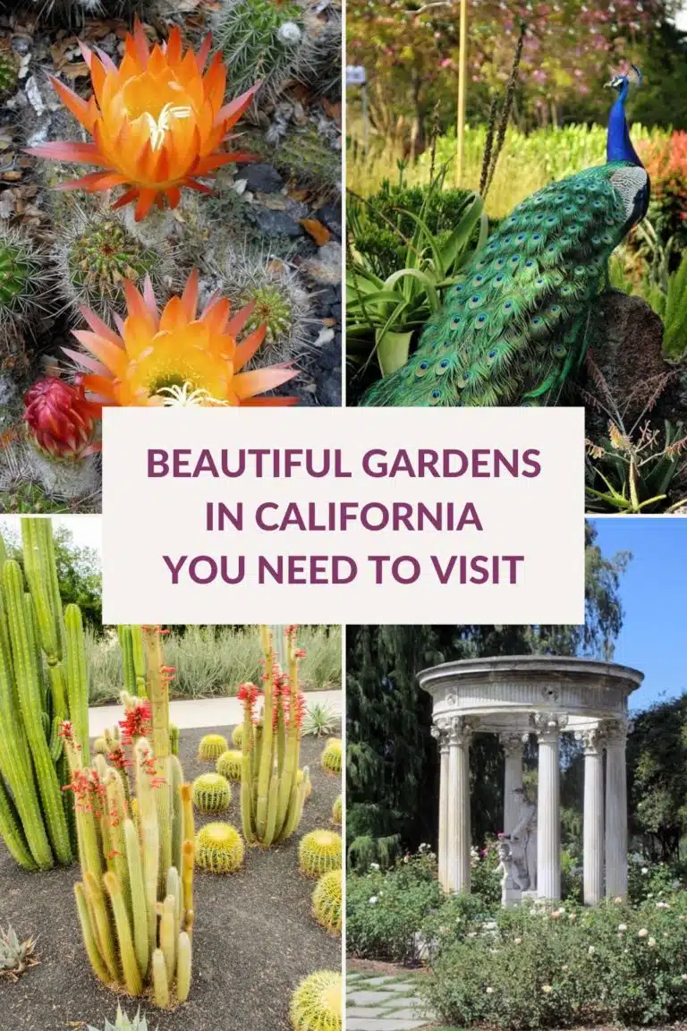 a collage of 4 photos of gardens in california the text reads beautiful gardens in california you need to visit