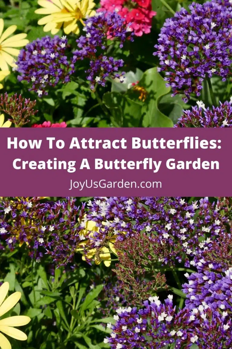 lead photo that reads how to attract butterflies: creating a butterfly garden joyusgarden.com