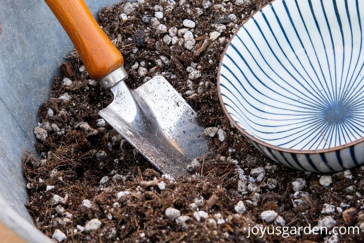 a close up of a large tin bin filled with DIY succulent & cactus mix with a trowel & bowl inside