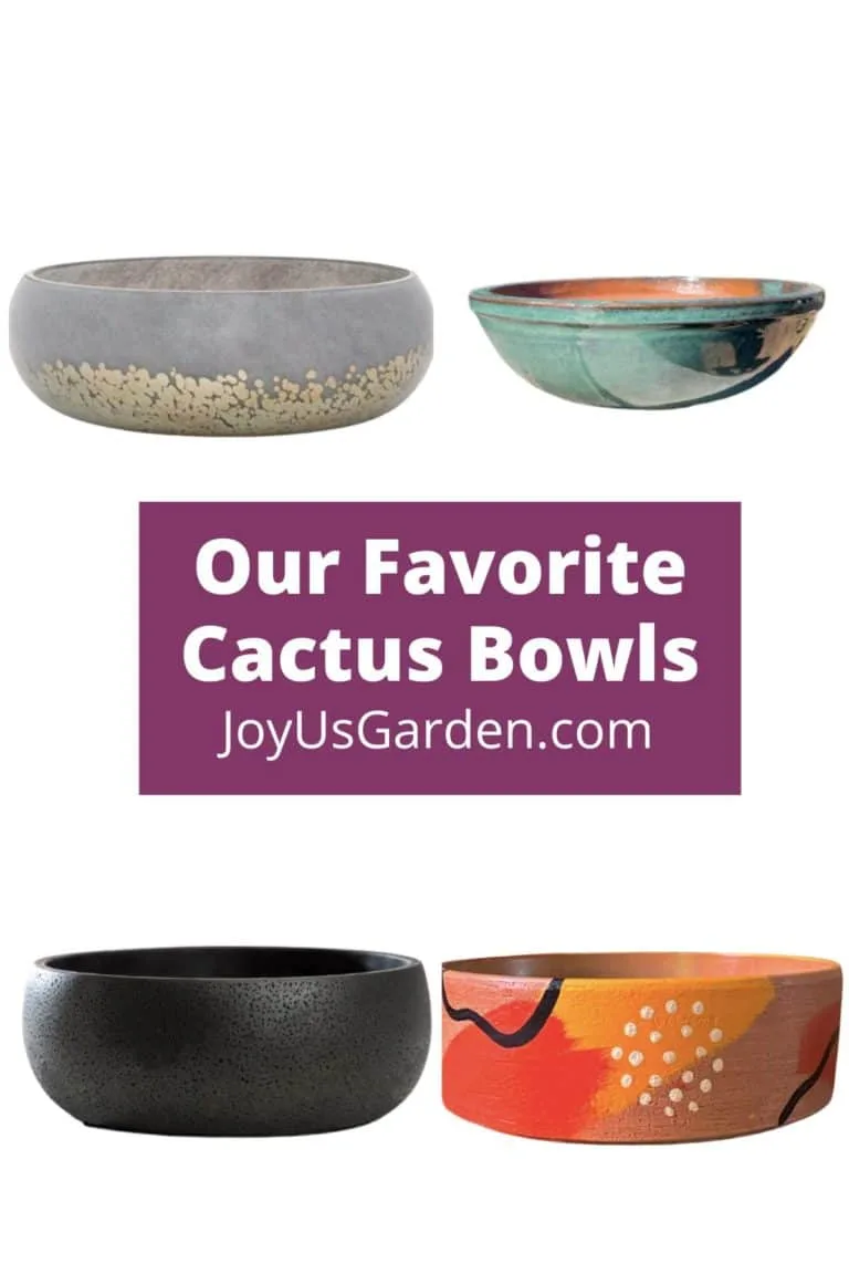 4 cactus bowls are shown in collage from etsy and the text reads our favorite cactus bowls joyusgarden.com