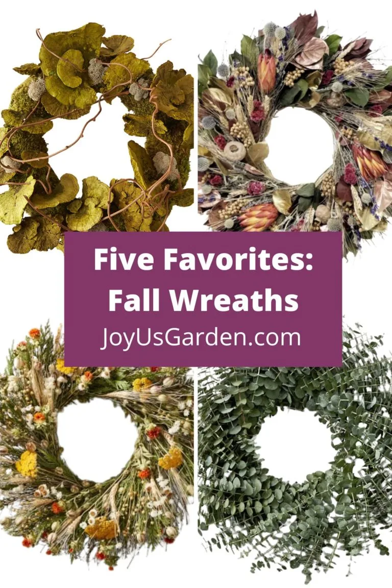 collage of four natural readymade fall wreath text reads five favorites: fall wreaths joyusgarden.com