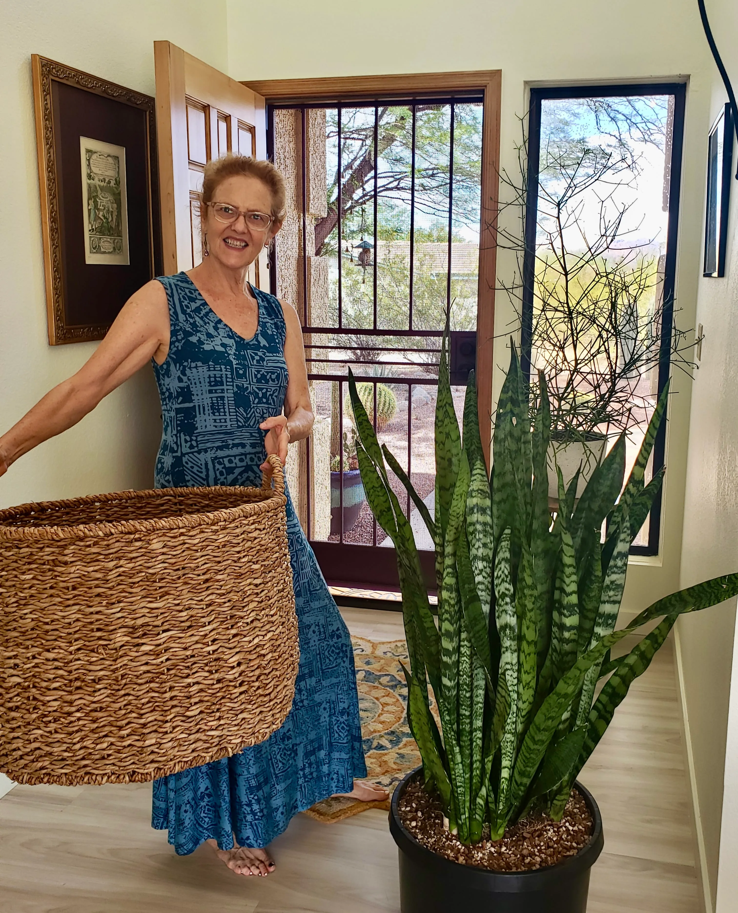 Nell Foster in blue dress holding large plant basket standing next to a large snake plant. 