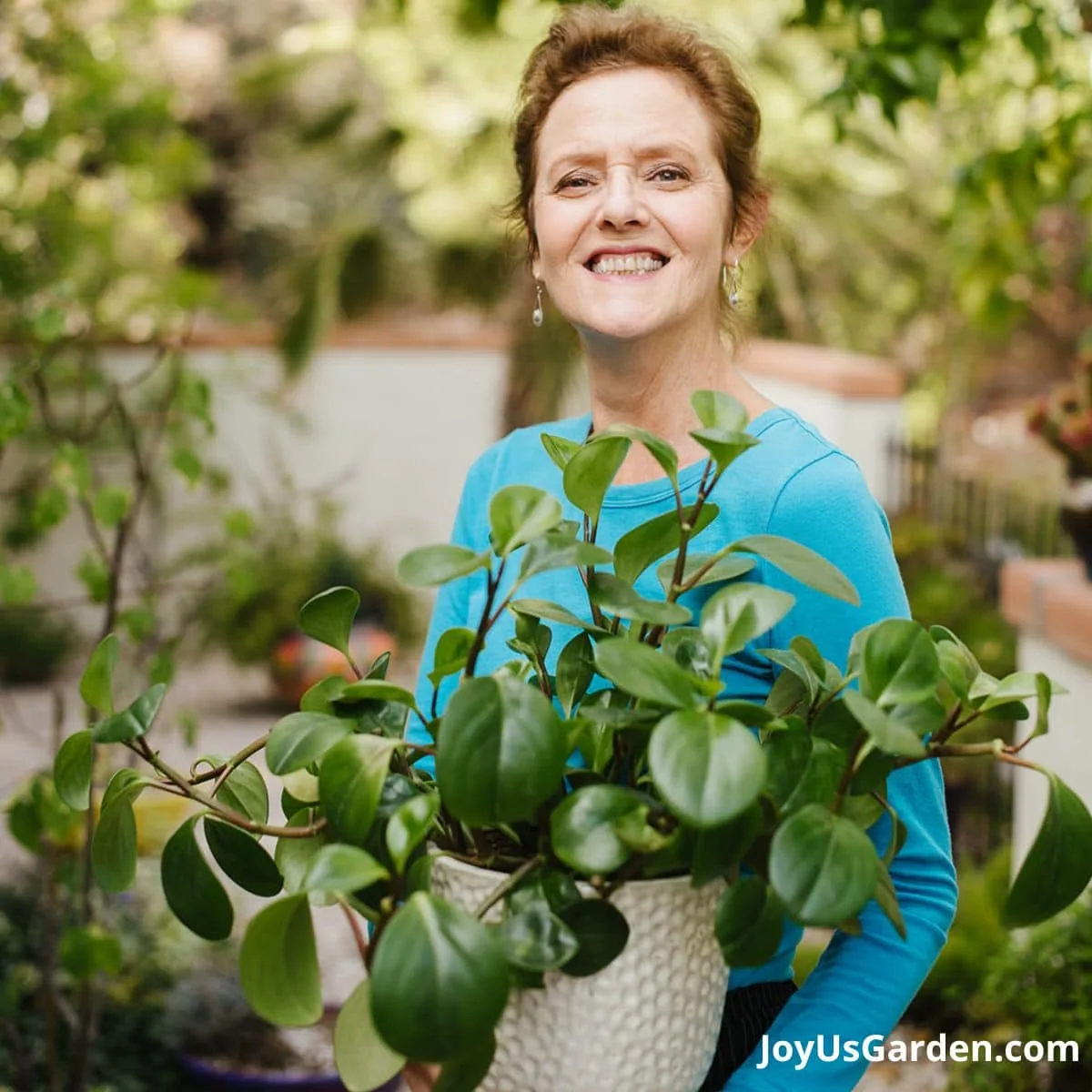 nell foster in blue long sleeve shirt holding a baby rubber plant in a white planter pot container