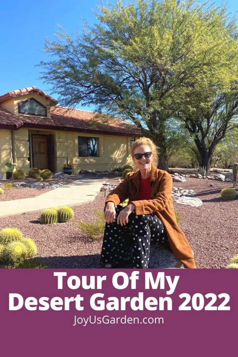 nell foster sits on a rock in her sonoran desert garden in tucson arizona the text reads tour of my desert garden 2022