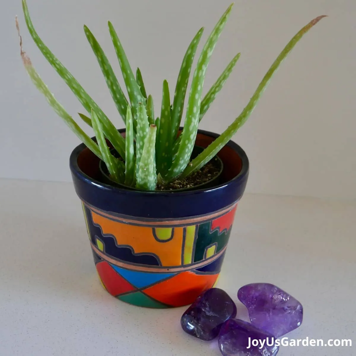 A small aloe vera plant growing in a colorful talavera pot with amethyst colored stones at the base.