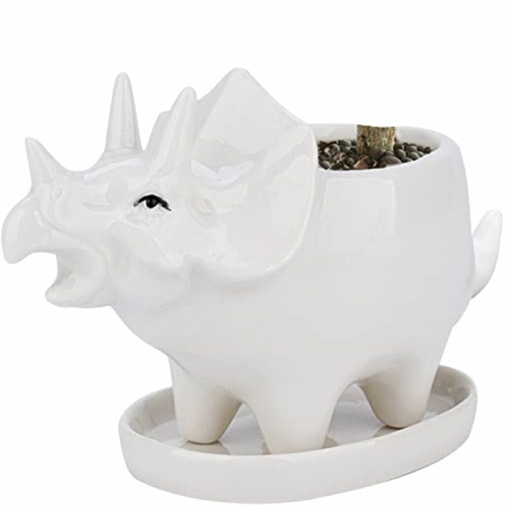 Animal Pots For Plants: 17 Animal Plant Pots We Love