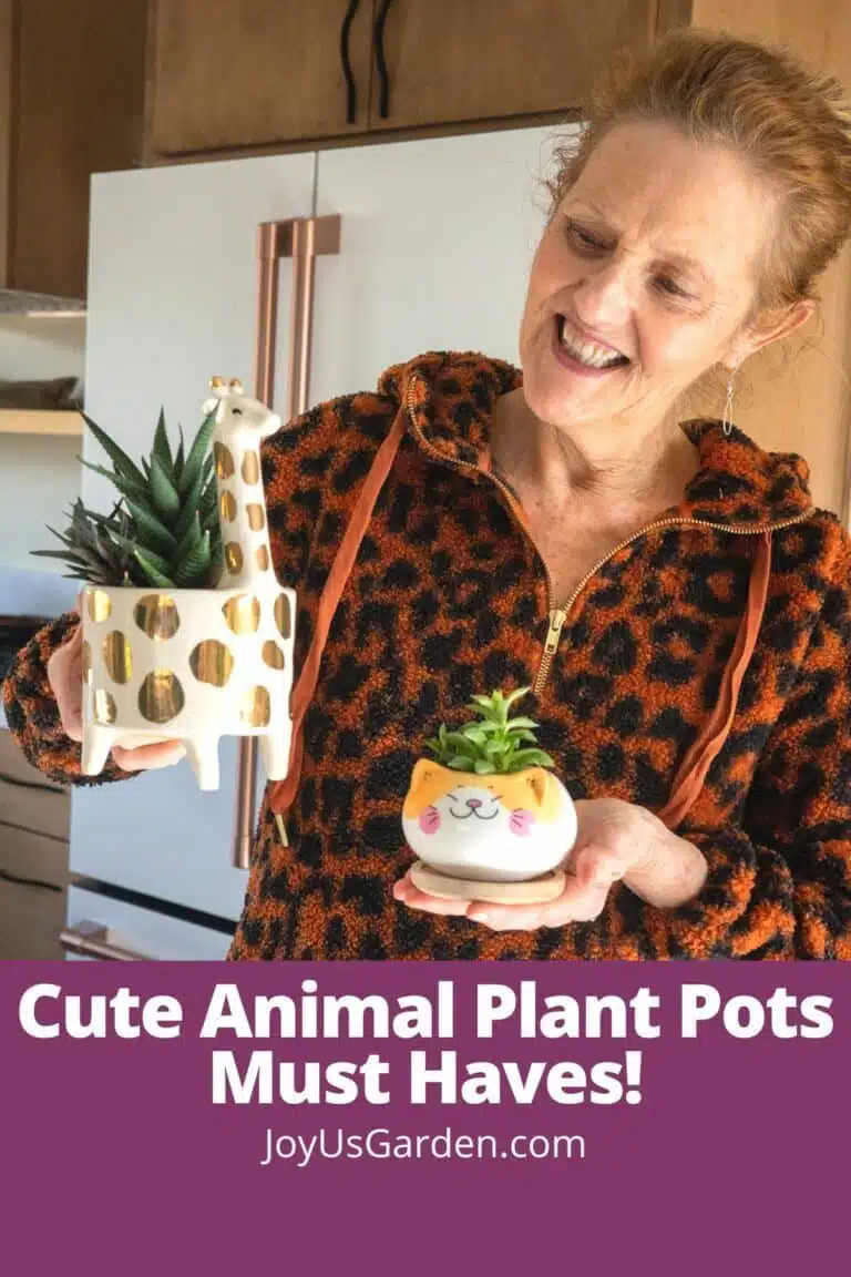 nell foster in her kitchen holding a giraffe pot and cat pot text reads cuter animal plant pots must haves joyusgarden.com