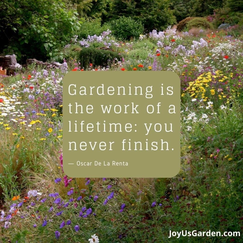 Plant Quotes That Inspire & Spark A Feeling Of Joy