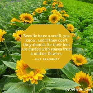 Plant Quotes That Inspire & Spark A Feeling Of Joy