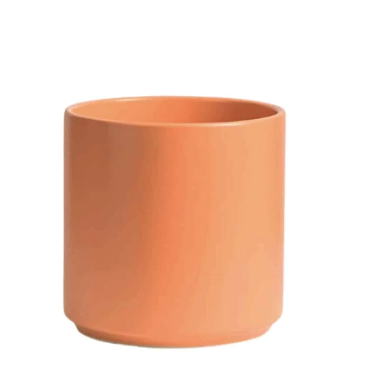 Melon color ceramic planter from Amazon. 