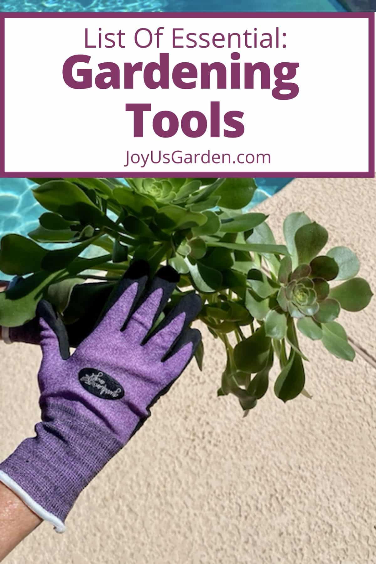 Amazon Gardening Tools: Essentials For Your Garden (2025)