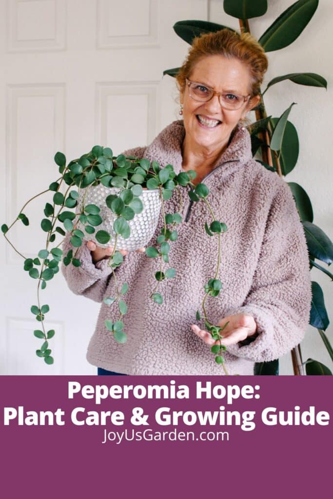 Nell foster in pink sweater holding a peperomia hope text reads Peperomia Hope: Plant Care & Growing Guide joyusgarden.com.