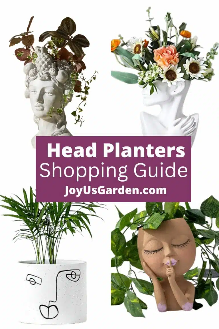 Collage of 4 different head planters text reads head planters shopping guide joyusgarden.com.