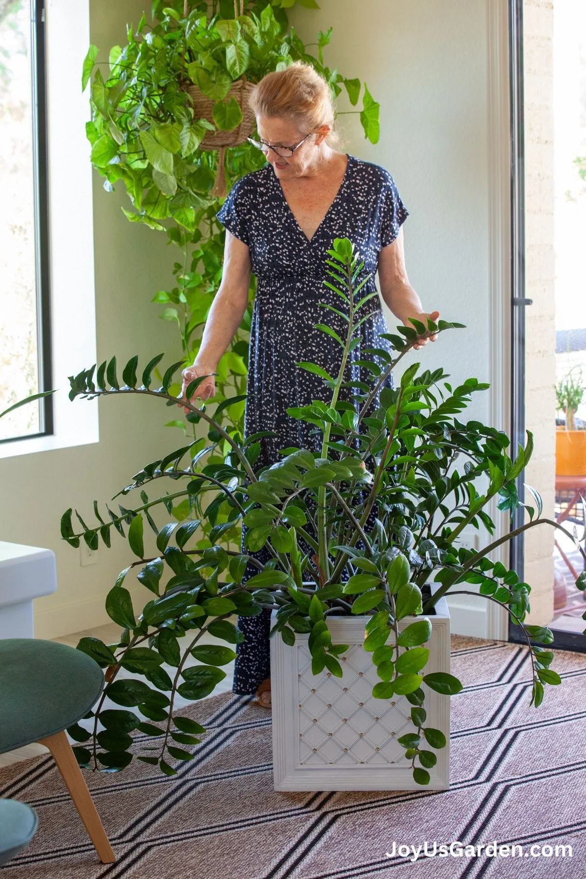 Nell Foster shown standing next to her large common green zz plant in white planter in living room.