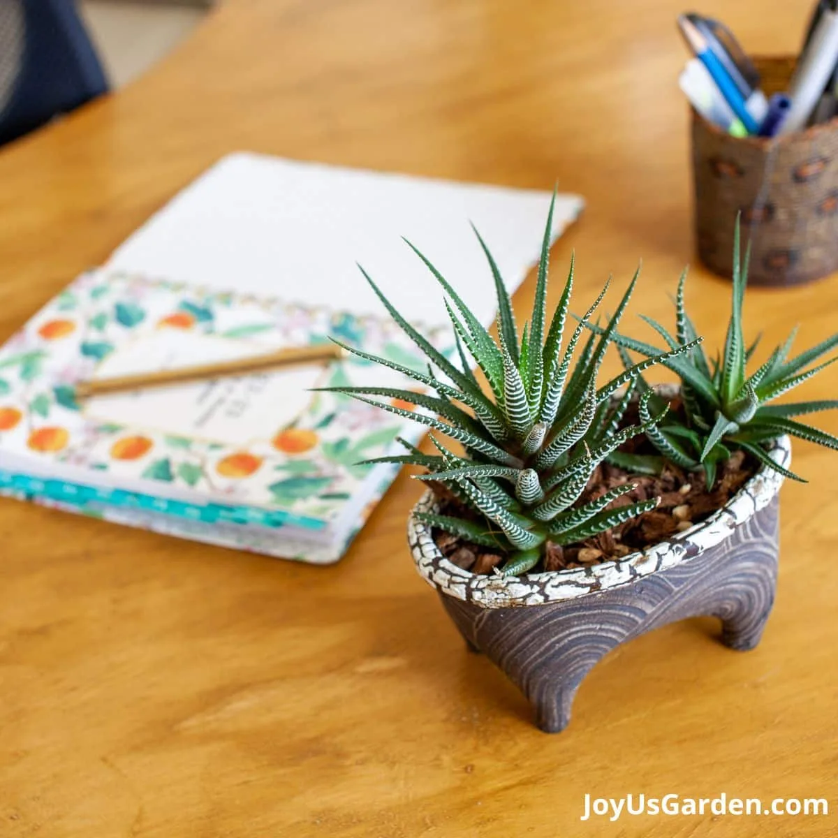 A small Haworthia planter on office desk, planner in  the background. 