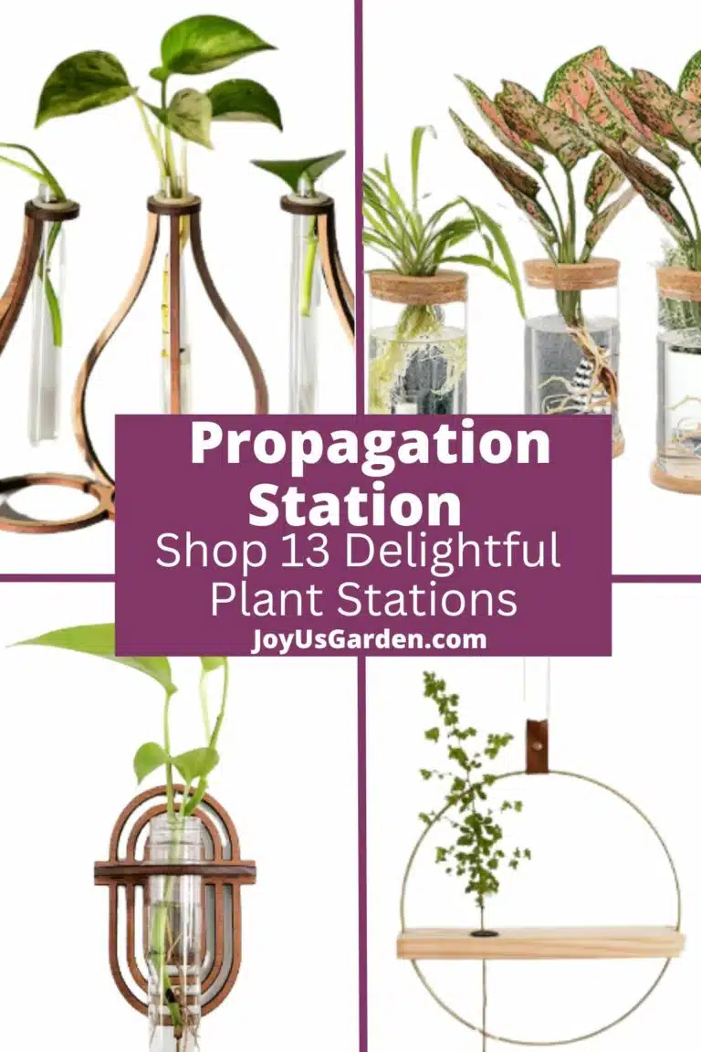 Four photo collage of propagation stations for plant cuttings, text reads Propagation Station Shop 13 Delightful Plant Stations joyusgarden.com.