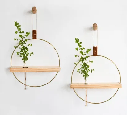 Minimalist Hoop Hanging Stations  with plant cuttings growing from etsy.