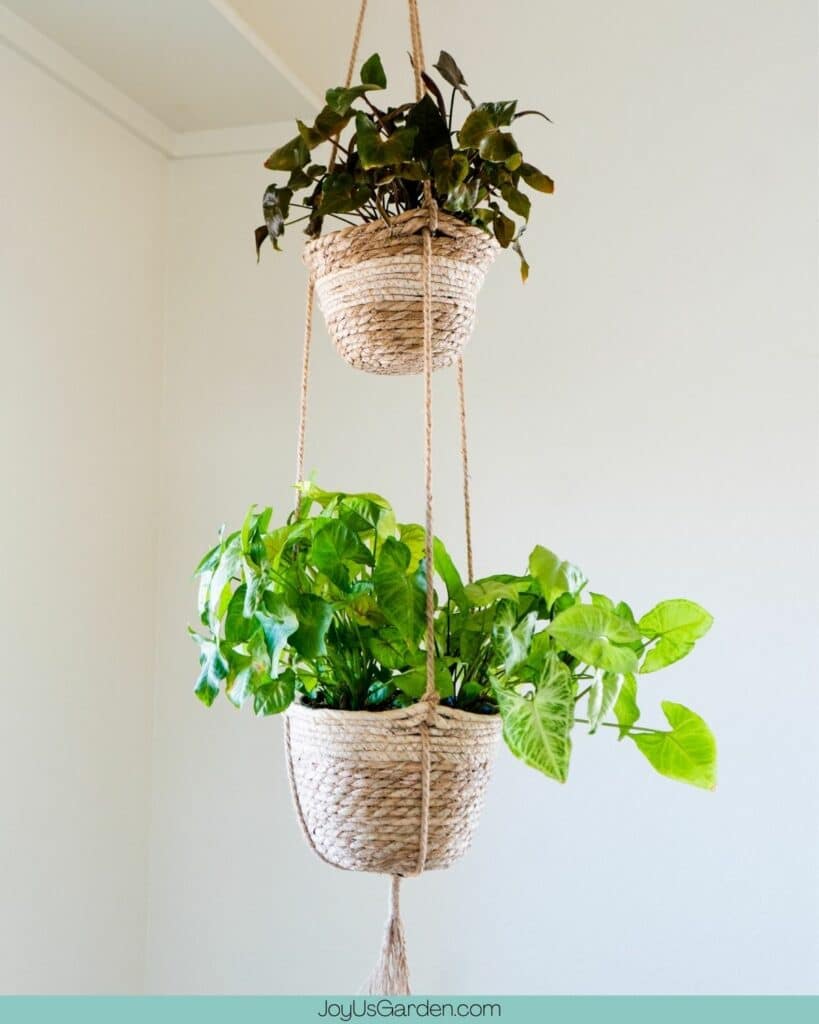 17 Indoor Plant Displays to Create a Jungle Oasis in Your Home