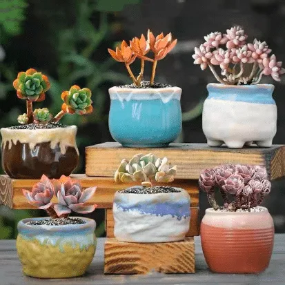 Six glazed ceramic bowls for succulents in multiple colors from etsy. 