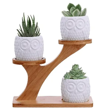 Three succulent pots sitting on a two tiered plant stand from Amazon.