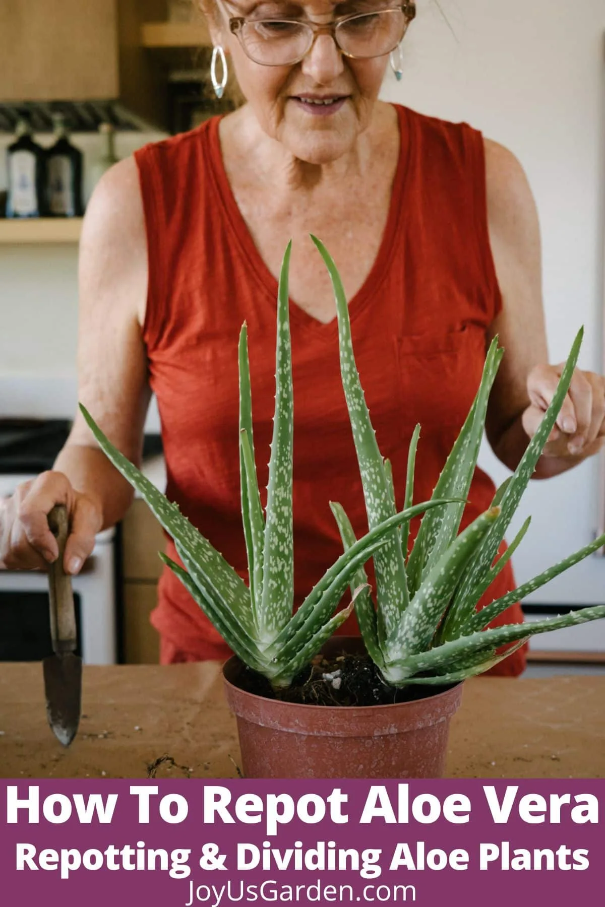 Nell Foster in an orange top stands behind an aloe vera plant with a mini trowel in her hand. The text reads how to repot aloe vera repotting & dividing aloe plants joyusgarden.com.