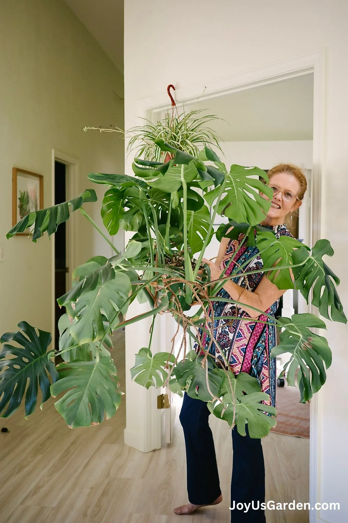 Nell foster holds a large Monstera Deliciosa.