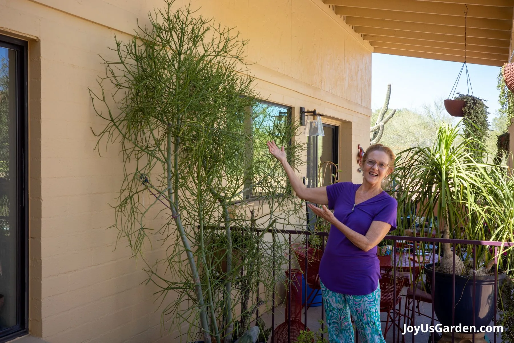 Nell Foster outdoor standing next to a large pencil cactus growing on back patio.