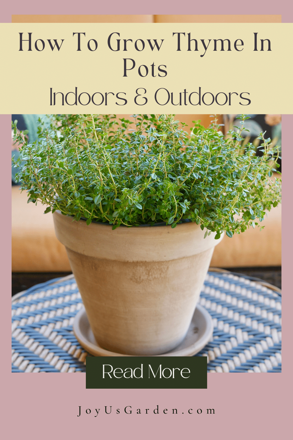 How To Grow Thyme In Pots: Tips For Indoors & Outdoors