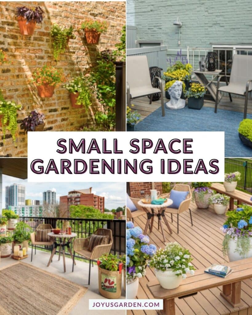 Small Space Gardening Ideas: Tips For Small Garden Spaces