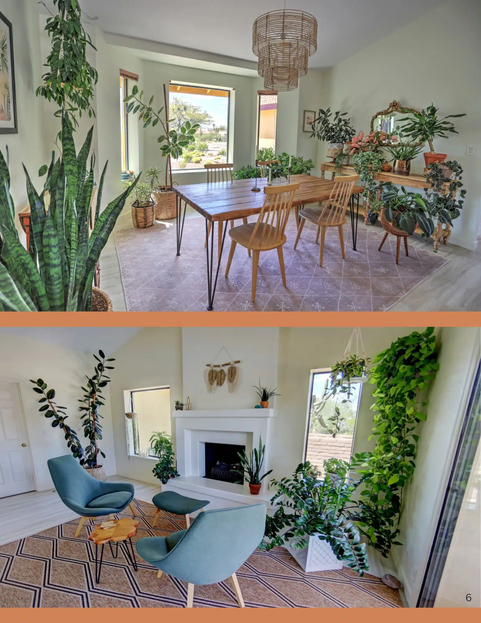 A dining room full of small & large houseplants on a side table, on the floor, & hanging. The bottom photo shows small & large houseplants in a family room with a fireplace.