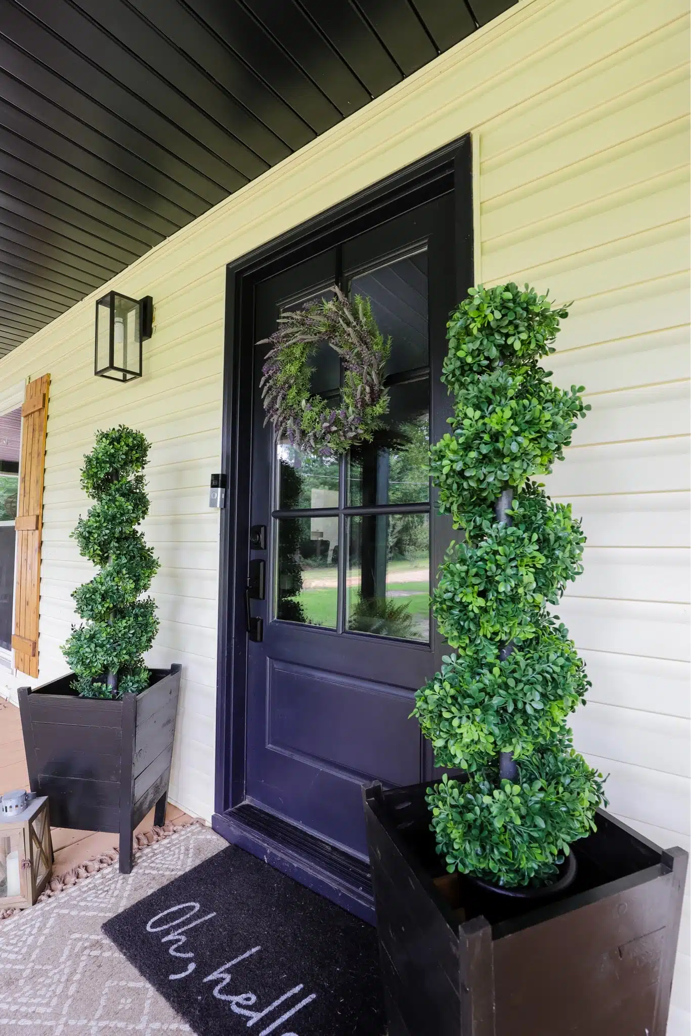 two small boxwood trees in planters