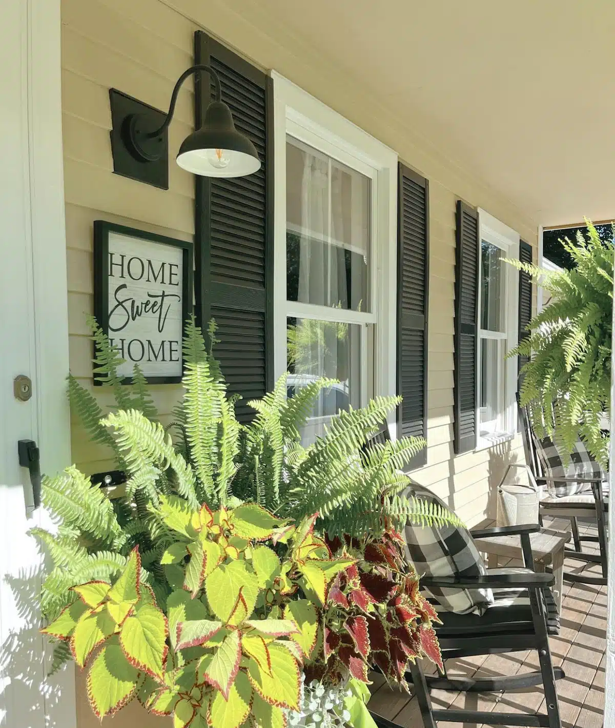 coleus and Boston ferns on a front porch with rocking chairs