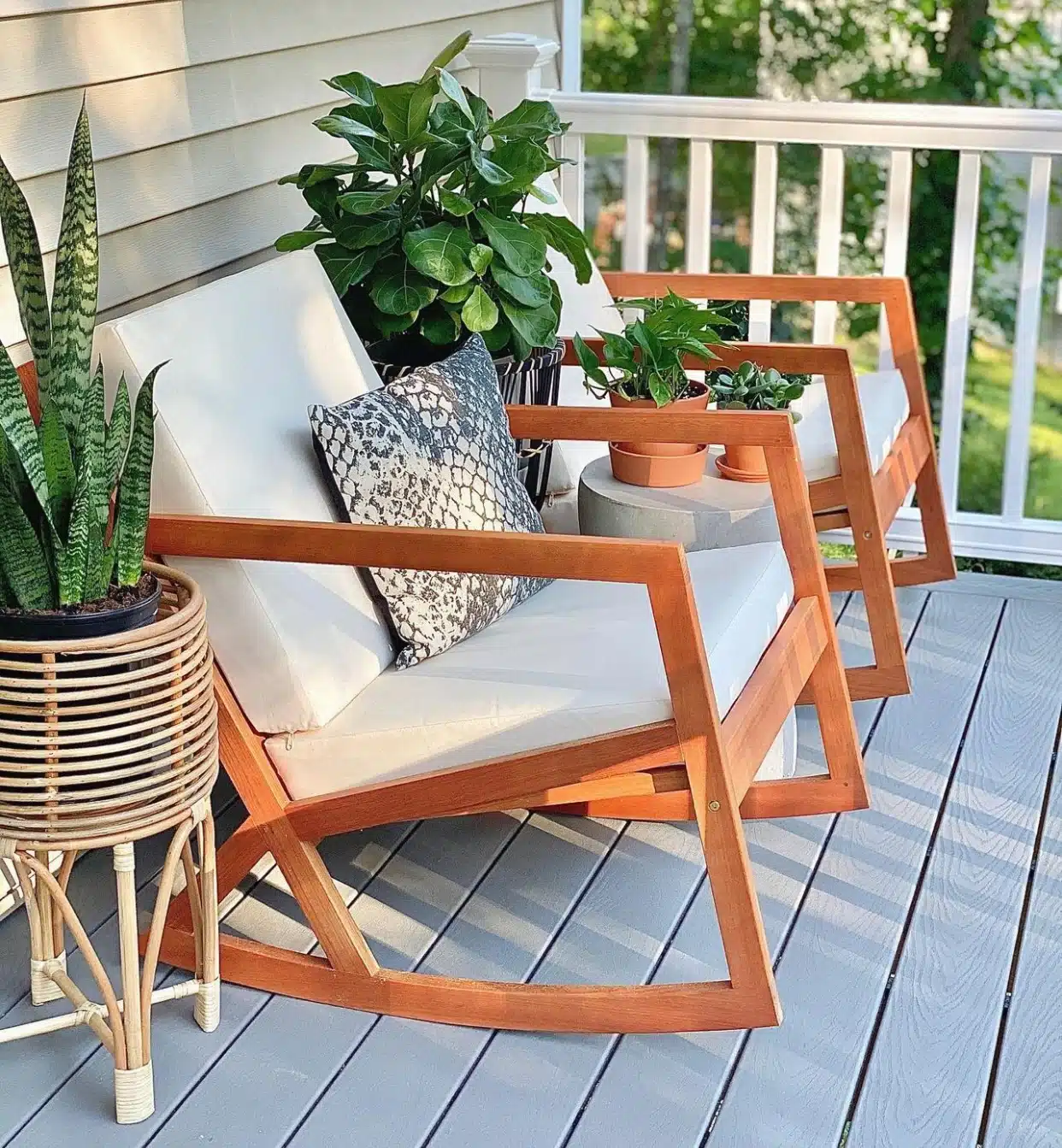 snake plant and fiddleleaf fig on front porch