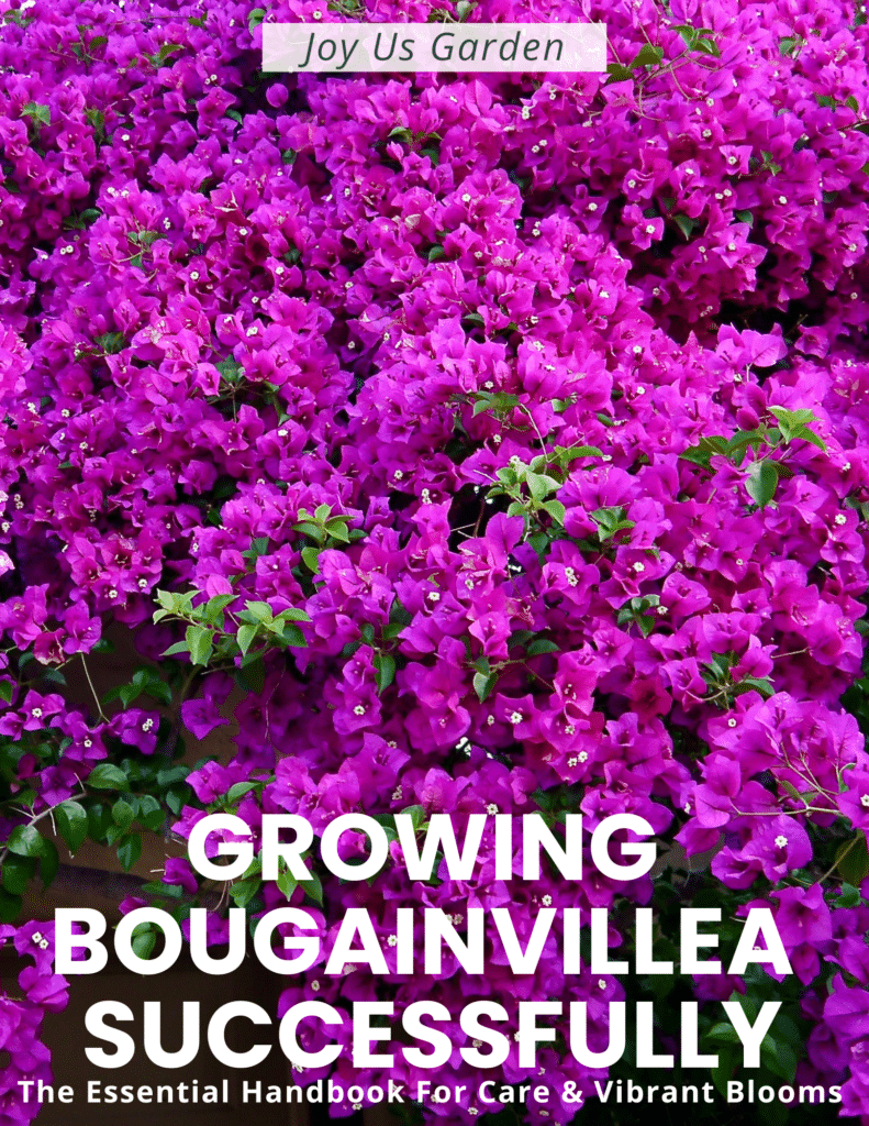 Growing Bougainvillea Successfully Ebook cover image. 