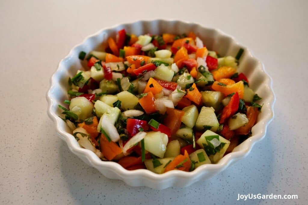 Salsa is being served in a white dish. 