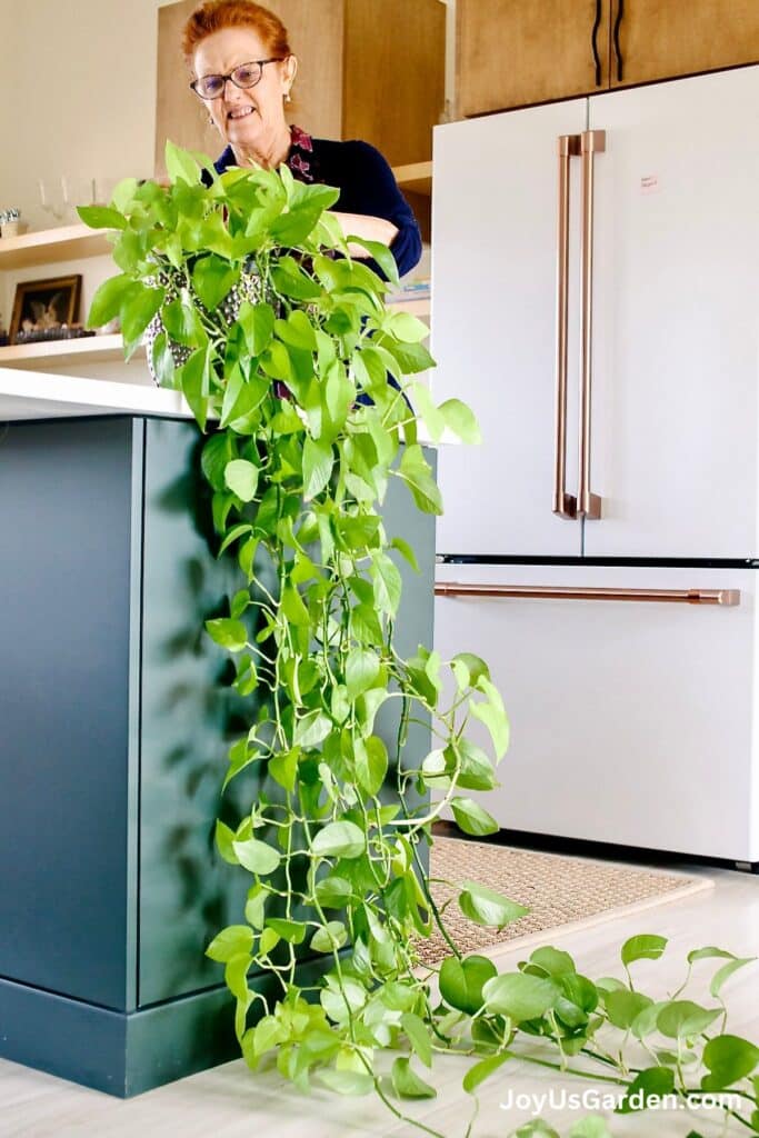 Nell foster stands in her kitchen looking down on a neon Pothos with long trails.